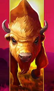 Big Wild Buffalo